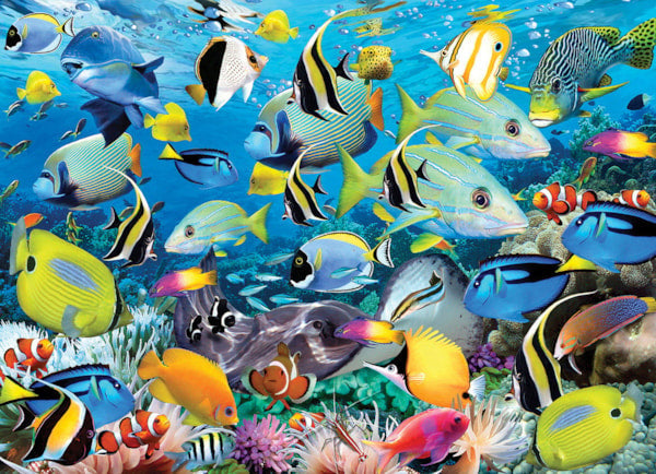 1000 Piece Jigsaw Puzzle - Ocean Colors | EUROGRAPHICS
