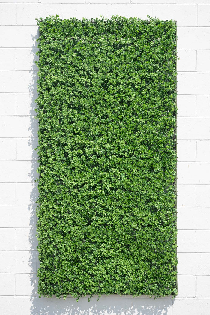 4' x 8' Enduraleaf Pachysandra Panel