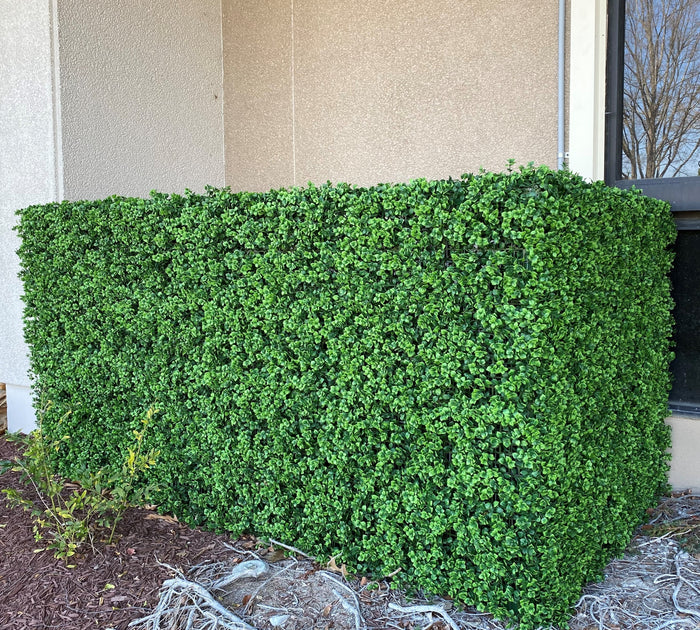 4' x 8' Enduraleaf Pachysandra Panel
