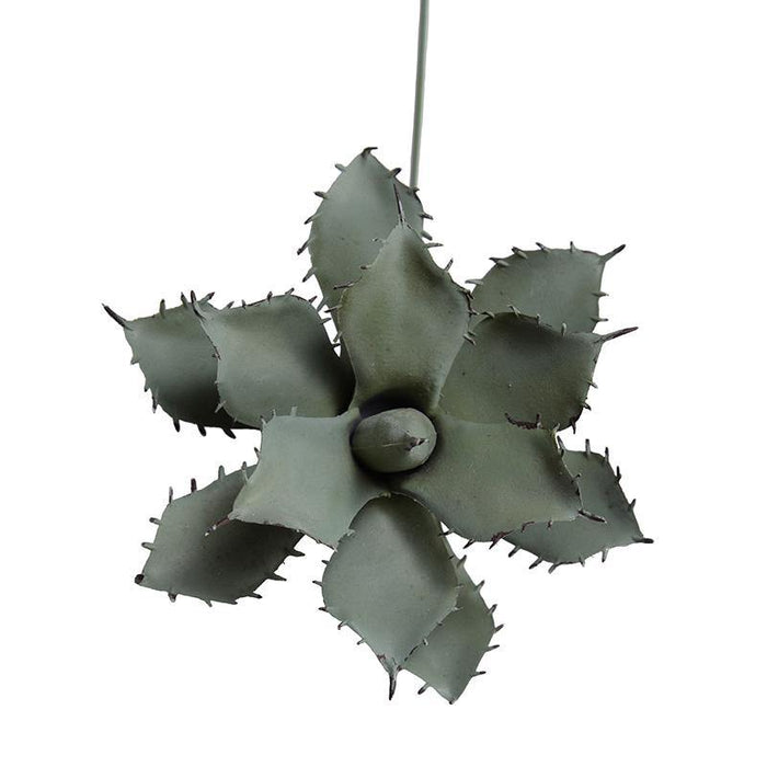 Succulent Pick, Agave Parrasanna - New Growth Designs