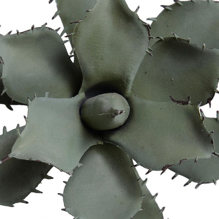Succulent Pick, Agave Parrasanna - New Growth Designs
