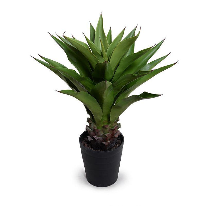 Agave Americana Plant in Tall Round Pot, 32"H - New Growth Designs