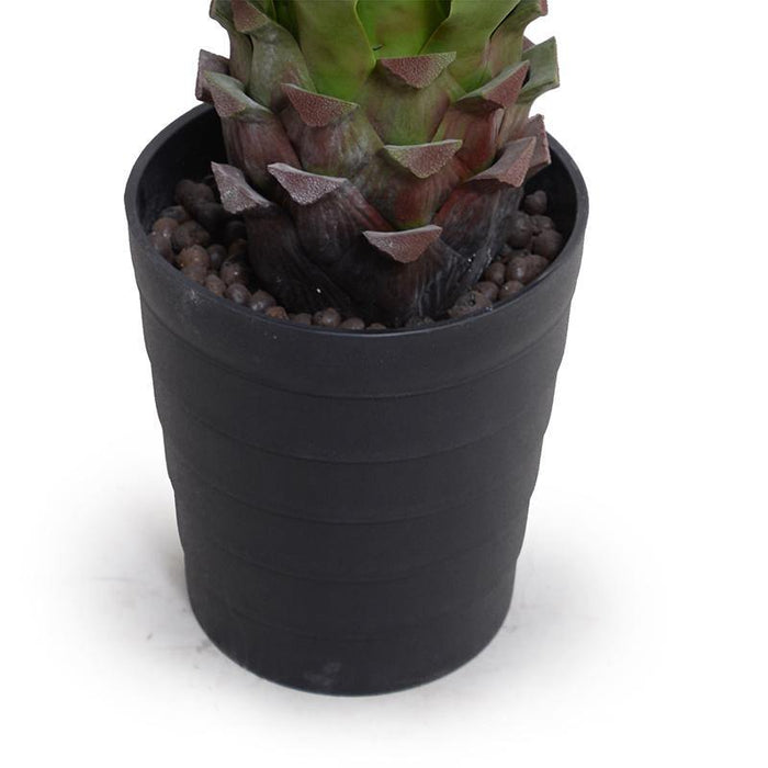 Agave Americana Plant in Tall Round Pot, 32"H - New Growth Designs