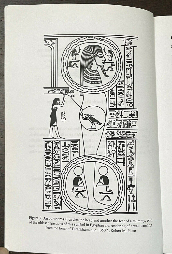 ALCHEMY AND THE TAROT - Robert Place, 1st 2011 HERMETIC DIVINATION MAGICK SIGNED