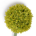 Allium Flower Stem, 4" diameter - New Growth Designs