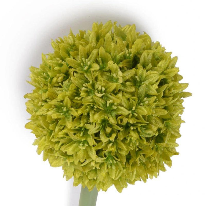 Allium Flower Stem, 4" diameter - New Growth Designs