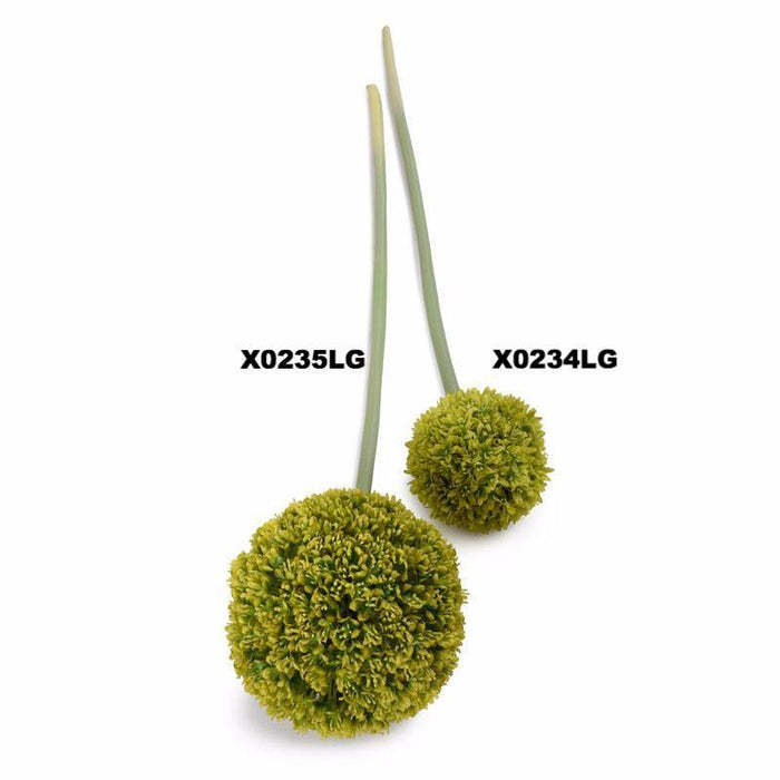 Allium Flower Stem, 4" diameter - New Growth Designs