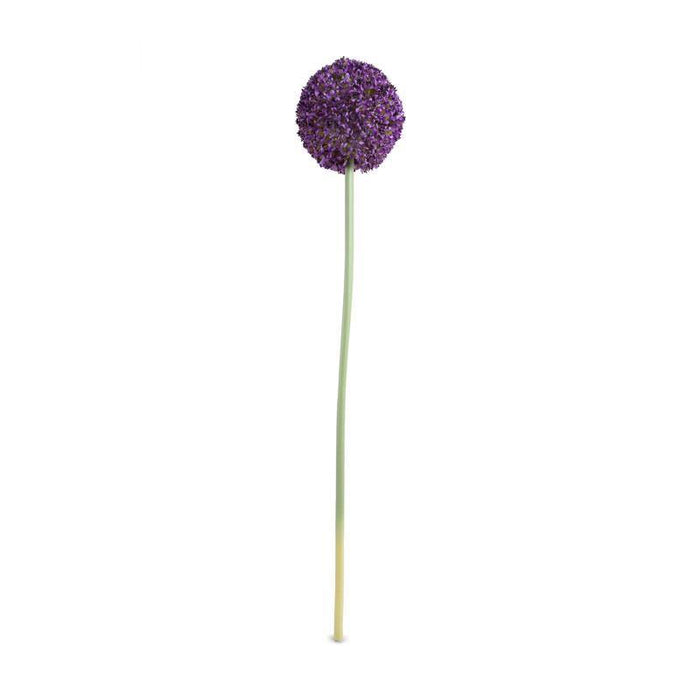 Allium Flower Stem Med 4"D