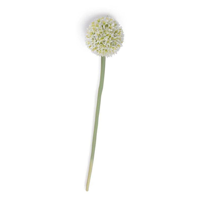 Allium Flower Stem Med 4"D