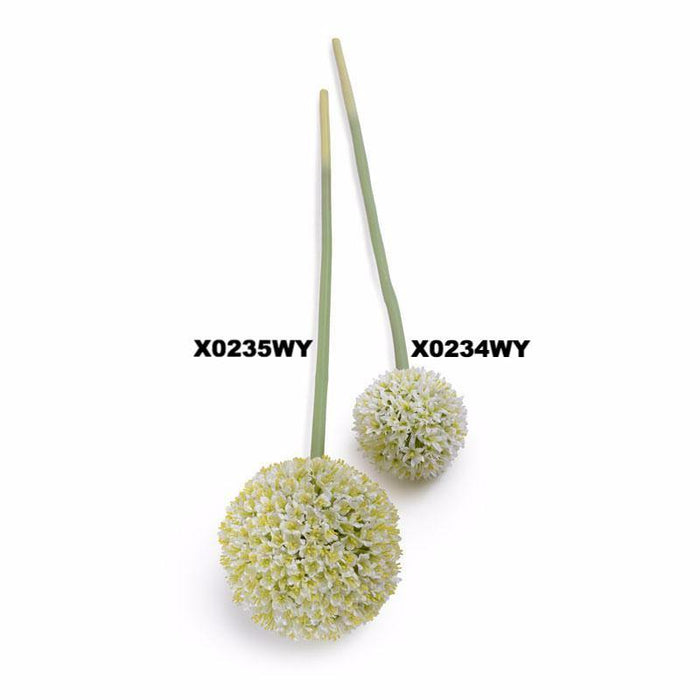 Allium Flower Stem Med 4"D