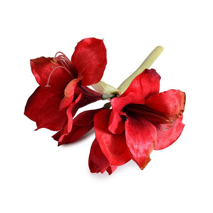Amaryllis Stem, 20" L - Red - New Growth Designs