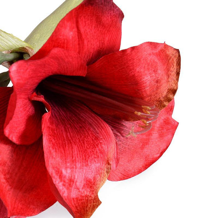 Amaryllis Stem, 20" L - Red - New Growth Designs