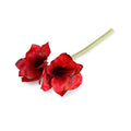 Amaryllis Stem, 27" L - Red - New Growth Designs