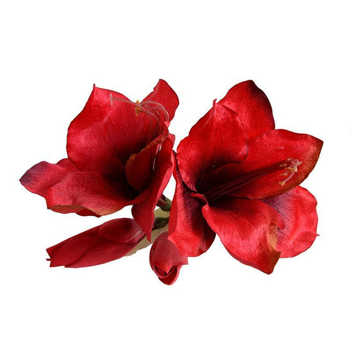 Amaryllis Stem, 27" L - Red - New Growth Designs