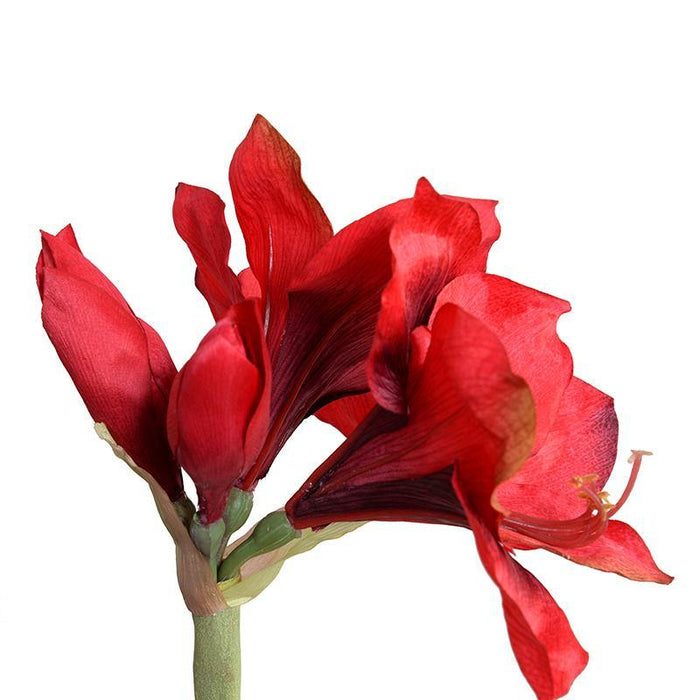 Amaryllis Stem, 27" L - Red - New Growth Designs
