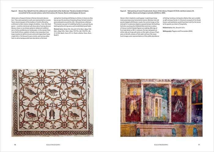 Inside page of 'Ancient Roman Villas: The Essential Sourcebook' picturing ancient illustrations
