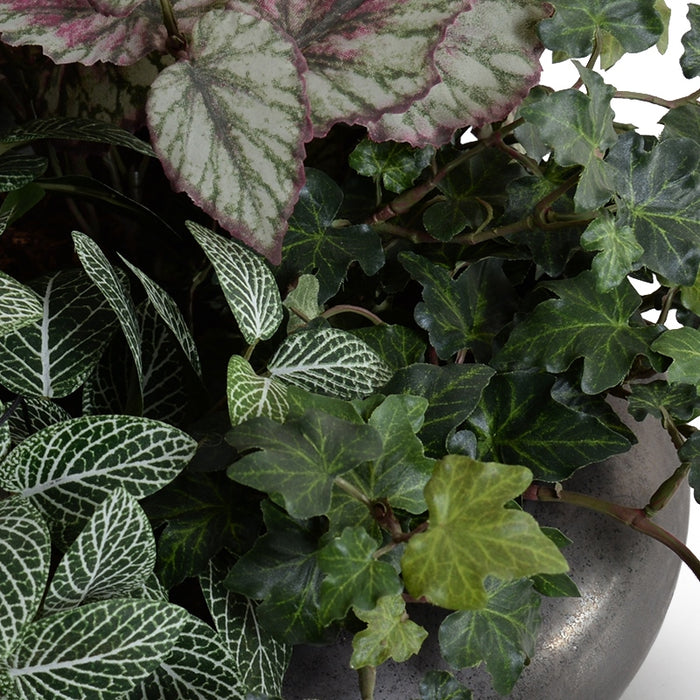Assorted Greenery in Ceramic Bowl 9"H