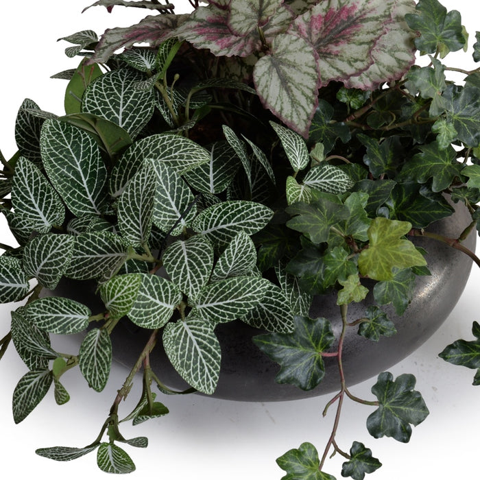 Assorted Greenery in Ceramic Bowl 9"H