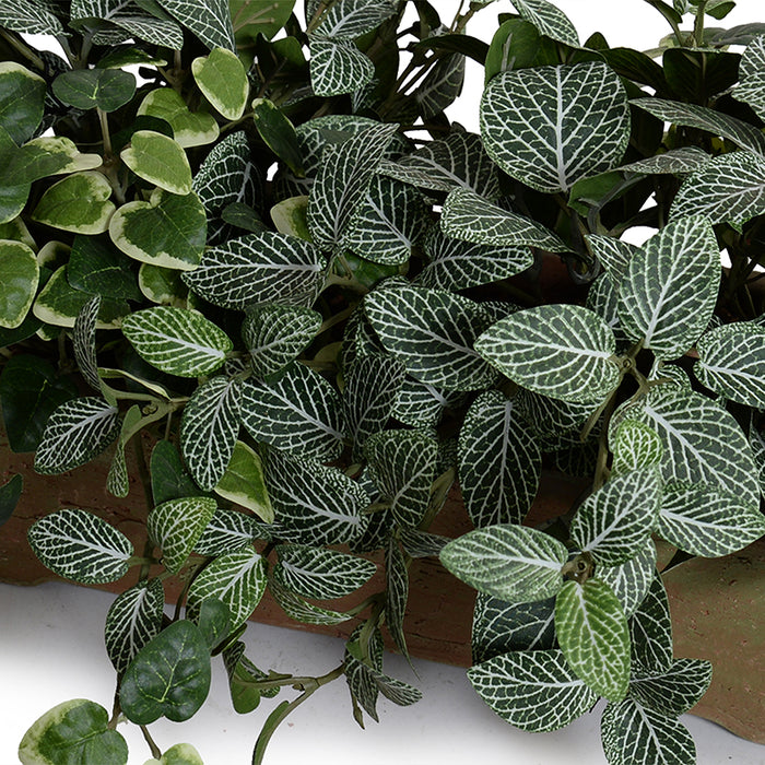 Assorted Greenery in Long Clay Planter 8"H