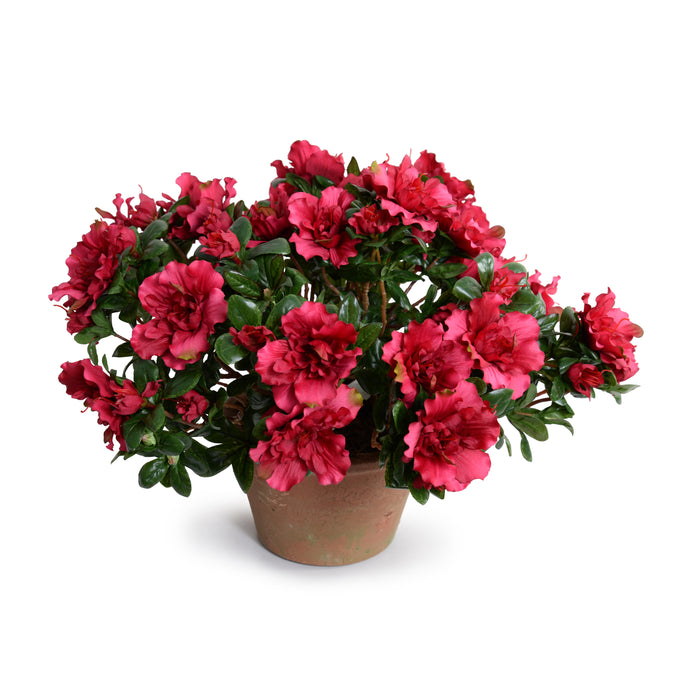 Luxury Wholesale Artificial Azalea Bush Beauty-Red in Terracotta Pot Indoor 14 Inches Tall - New Growth Designs
