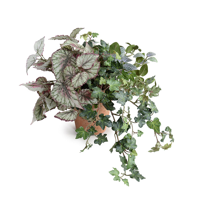 Begonia, Fittonia & Ivy Wholesale Faux Indoor Plants in Terracotta Pot 12 Inches Tall - New Growth Designs