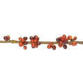 Berry Branch - New Growth Designs