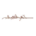 Crabapple Stem - New Growth Designs
