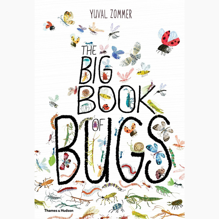 Big Book Of Bugs