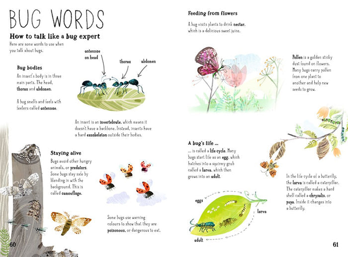Big Book Of Bugs