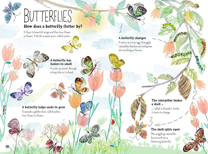 Big Book Of Bugs