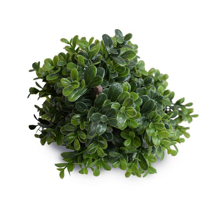 Boxwood Shrub Branch - 30"L - New Growth Designs