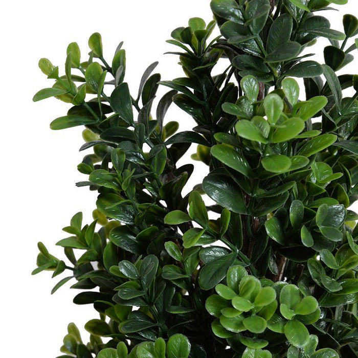 Boxwood Shrub Branch - 30"L - New Growth Designs
