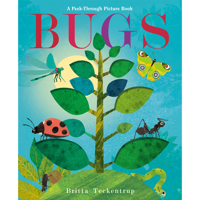 Bugs: A Peek Through Picture Book
