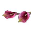 Calla Lily Stem, Burgundy 30" - New Growth Designs