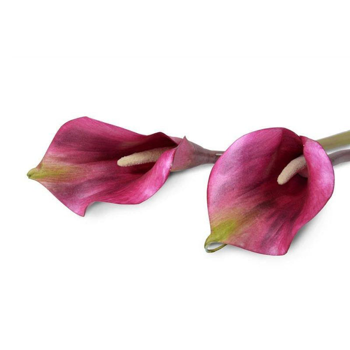 Calla Lily Stem, Burgundy 30" - New Growth Designs