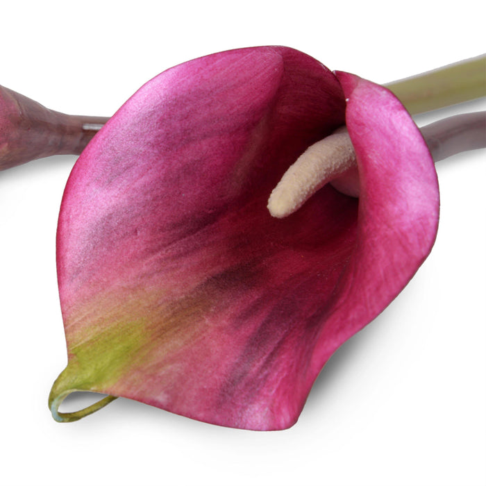 Calla Lily Stem, 30" L - Burgundy - New Growth Designs