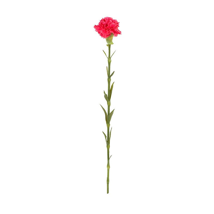 Carnation Stems - New Growth Designs
