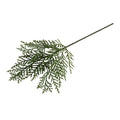 Cedar Spray 24"