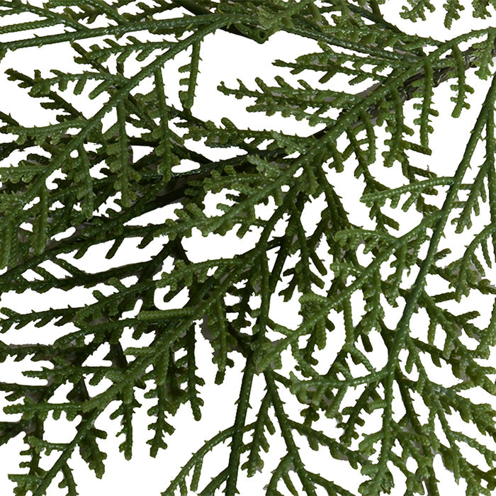 Cedar Spray 24"