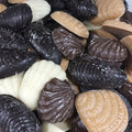 Chocolate Sea Shells