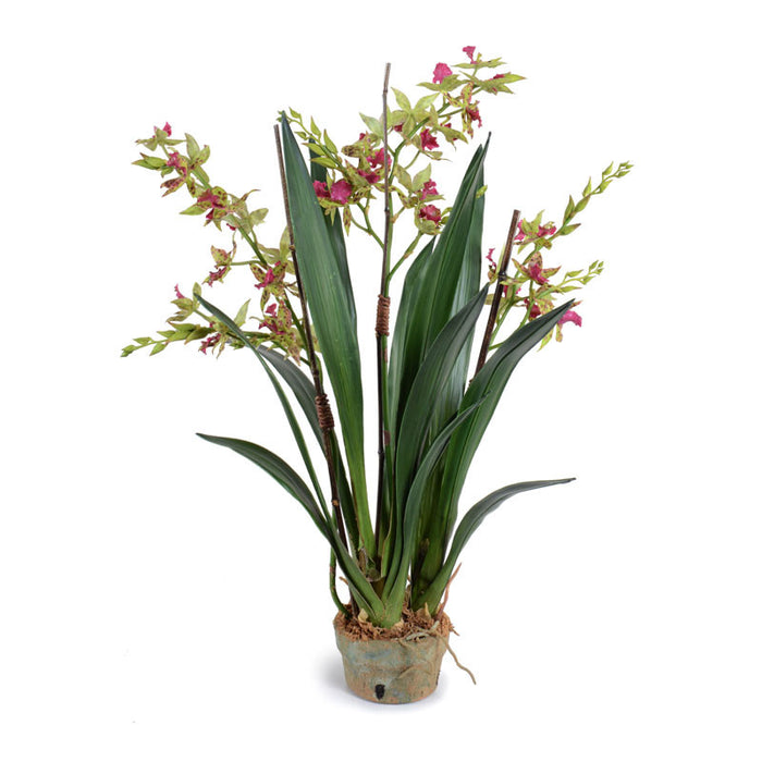 Luxury Wholesale Faux Cymbidium Orchid Plant Green-Burgundy in Terracotta Pot Indoor 29 Inches Tall - New Growth Designs