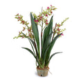 Luxury Wholesale Faux Cymbidium Orchid Plant Green-Burgundy in Terracotta Pot Indoor 29 Inches Tall - New Growth Designs