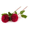 Dahlia Flower Stem - New Growth Designs