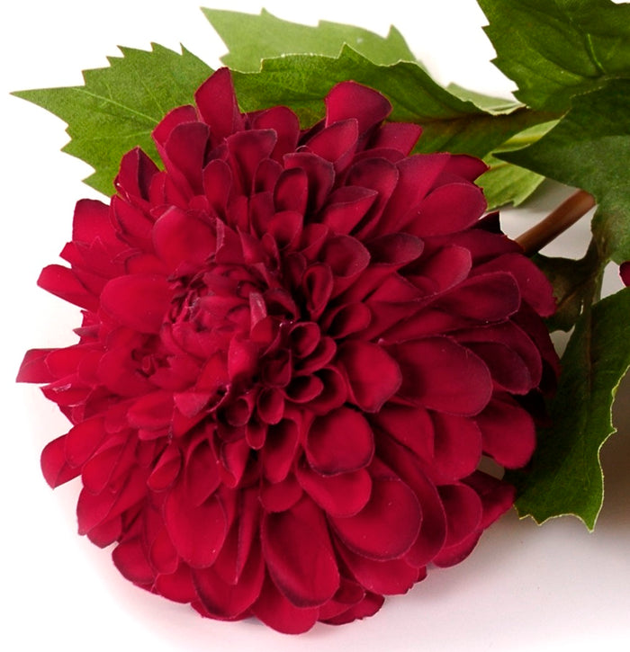 Dahlia Stem, 20" L - Red