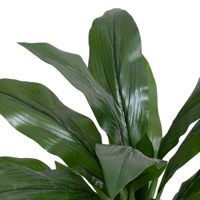 Dracaena in Round Pot, 22"H - New Growth Designs