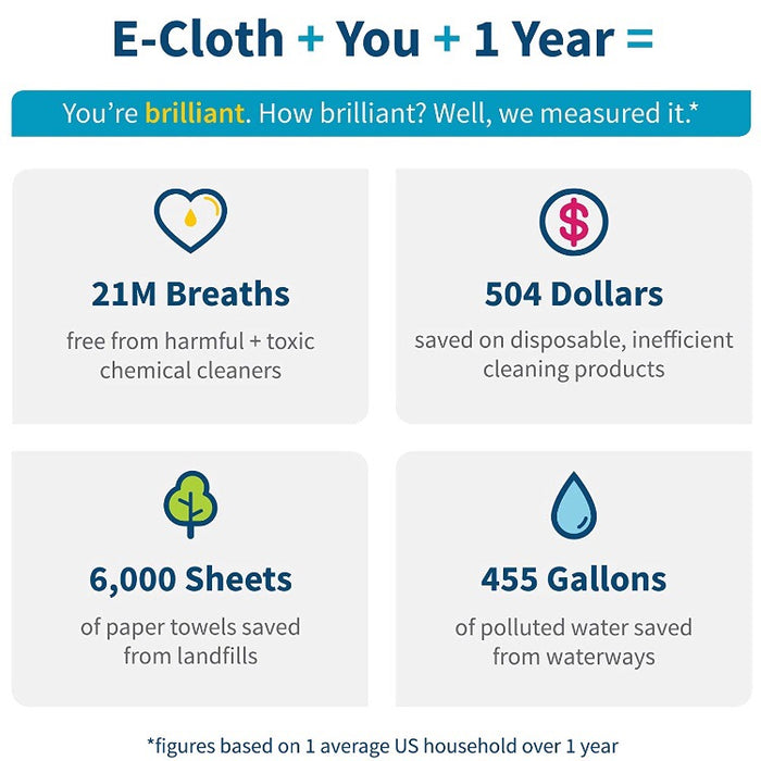 Dusting Cloth Set Of 2 — TADgreen, Inc., view 5
