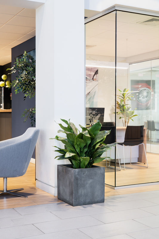 Fiberglass Cube Planter - Gray