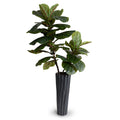 Fiddle Leaf Fig Branches in Porcelain 48"H