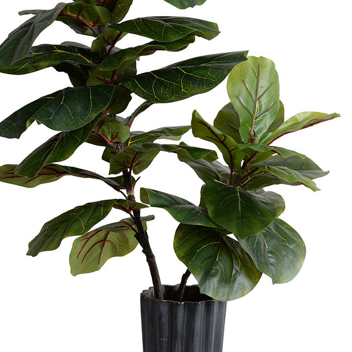 Fiddle Leaf Fig Branches in Porcelain 48"H