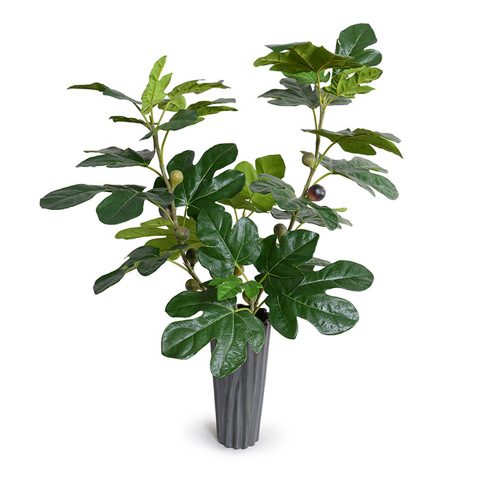 Fig Branches w/ Fruits in Porcelain 36"H